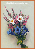 Fleurs d&eacute;licates pour une douce gratitude